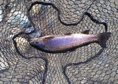 今年最後の釣り